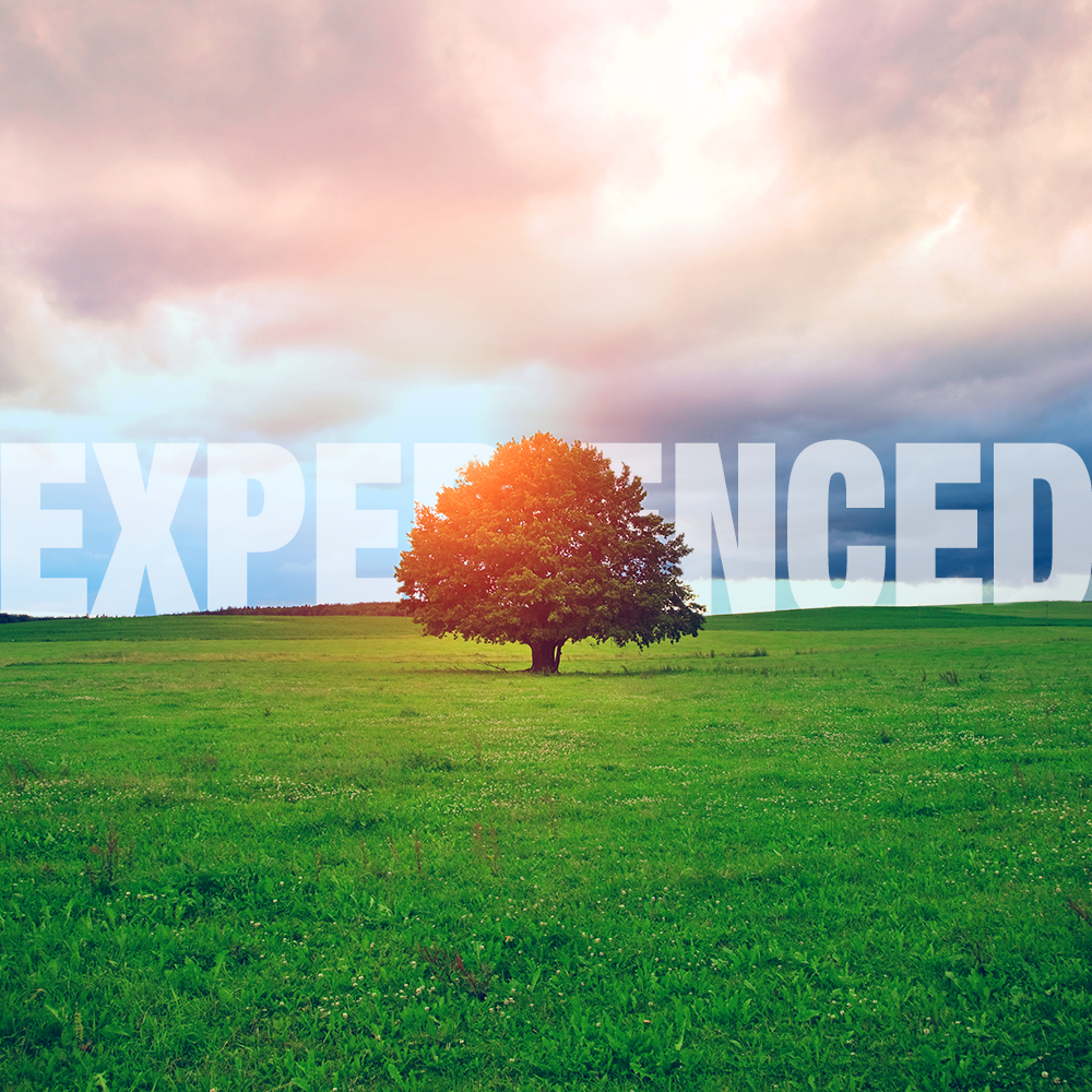 Experienced